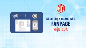 Tự chạy hay thuê đều có những điểm mạnh điểm yếu riêng của nó