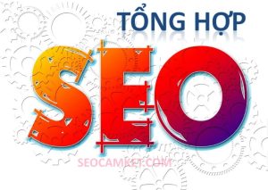 seo 63 tinh thanh