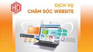 Dịch vụ chăm sóc website không ngừng hết hot