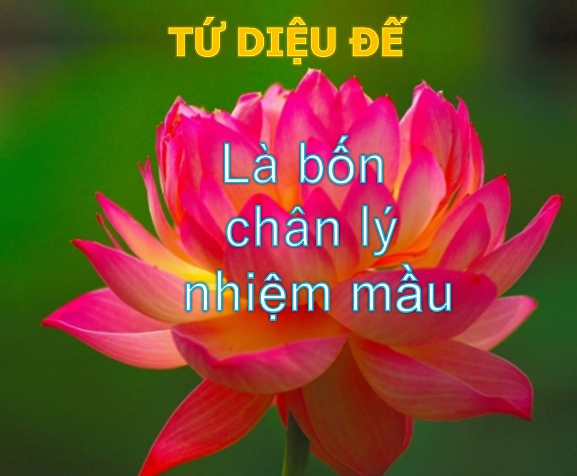 Tứ diệu đế là bốn chân lý nhiệm mầu