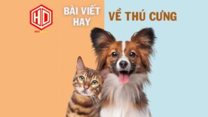 Bài viết hay về thú cưng là gì?