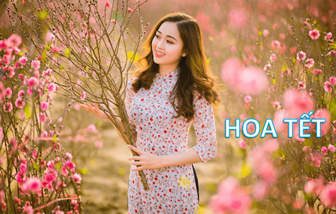 Bán hoa đào những ngày gần Tết thu về từ 100 – 200 triệu