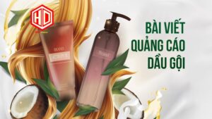 Bài viết phải hay mới đủ sức thu hút người đọc