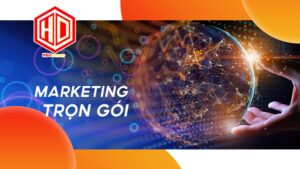 Giải pháp marketing trọn gói hỗ trợ tối đa cho công ty du học