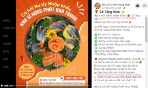 Mẫu content hay về hải sản cá hồi