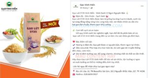 mẫu content hay về gạo